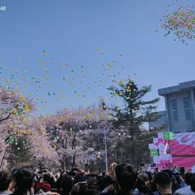 吉林大学的杏花节开幕仪式，气球放飞的刹那，人们都不...